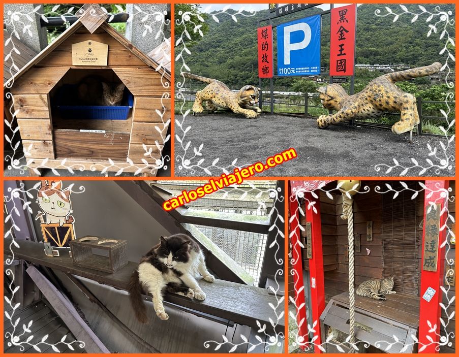 houtong cat village pingxi line